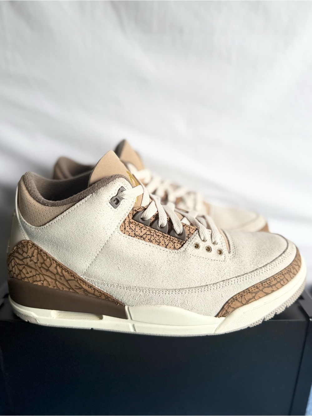 AUTHENTIC Jordan 3 Retro Palomino size 10.5 CT8532-102 2023 PRE-OWNED